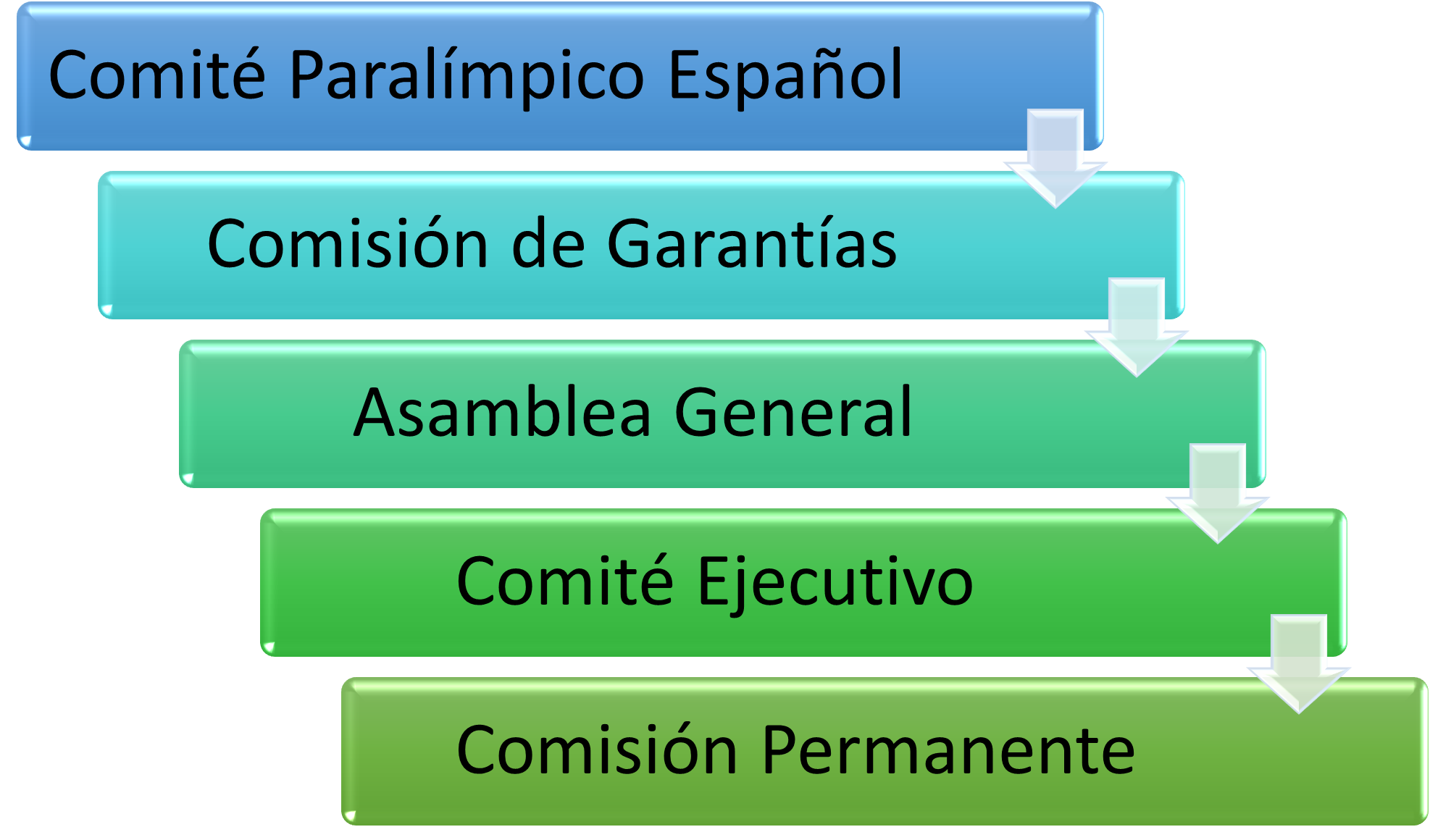 Organigrama organizativo