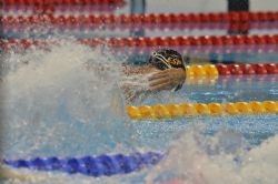 Israel Oliver, en la prueba de 200 metros estilos, en la que logr la medalla de oro y pulveriz el rcord de Europa (2 minutos 27 segundos y 67 centsimas).