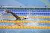 Perales, medalla de plata en los 100 libres (S5) con 1,20,,47