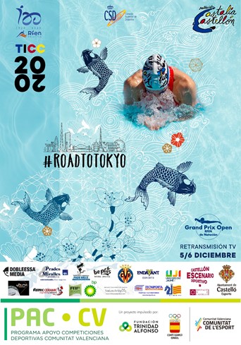 cartel del Open Internacional Castalia