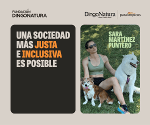 Dingonatura, patrocinador del Equipo Paralímpico Español