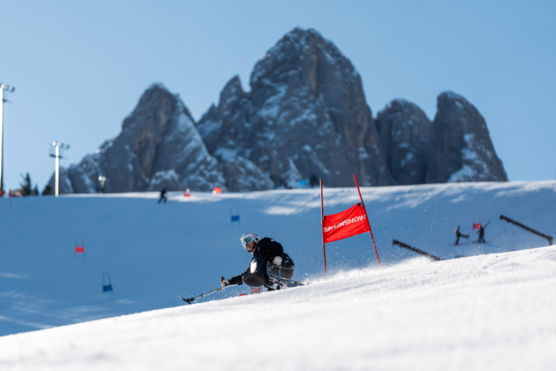 Esquiador en los Alpes