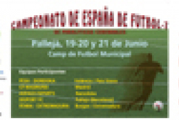 Cartel de la competici&#243;n